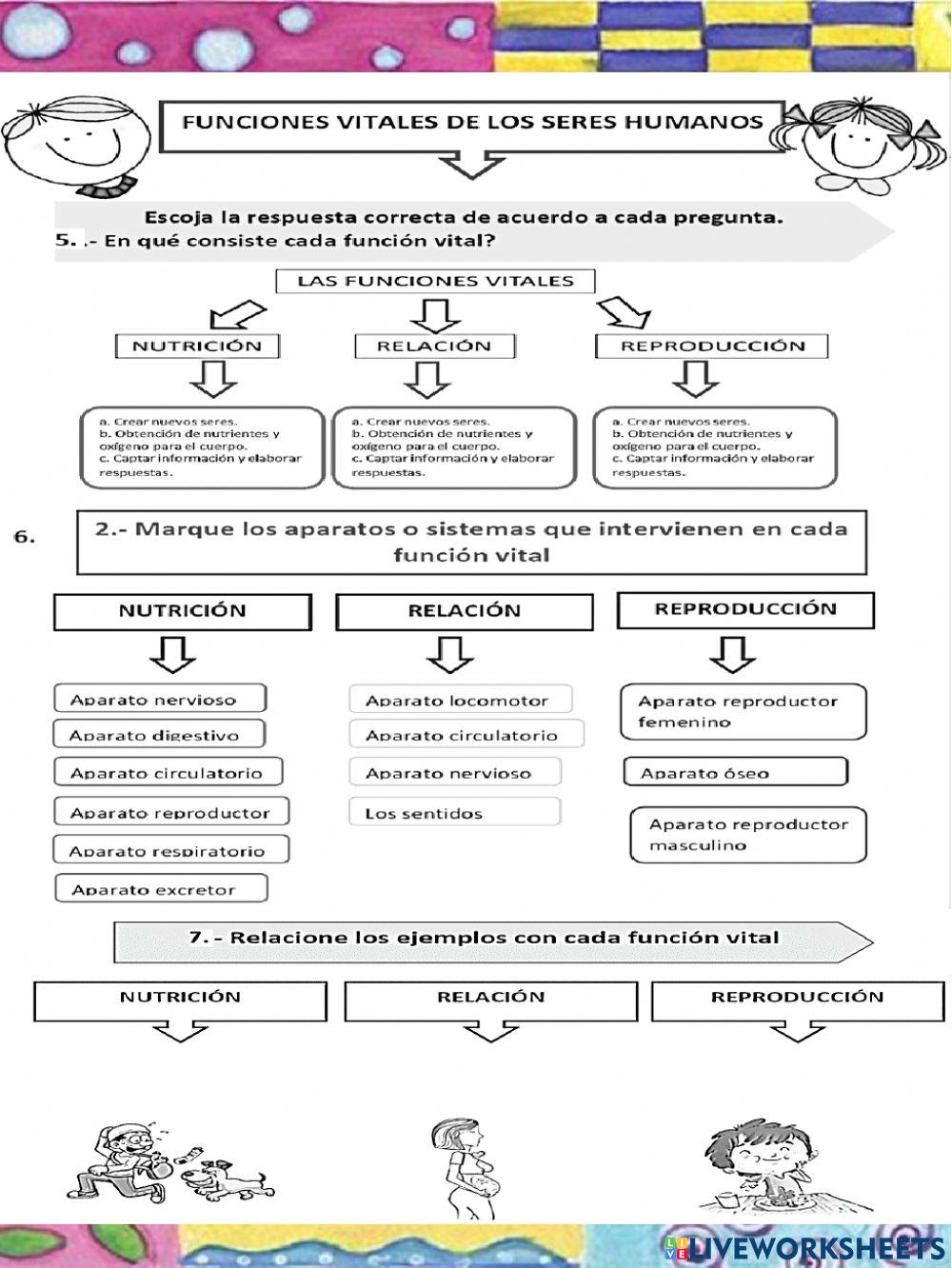 CN Tranferencia Sem 4