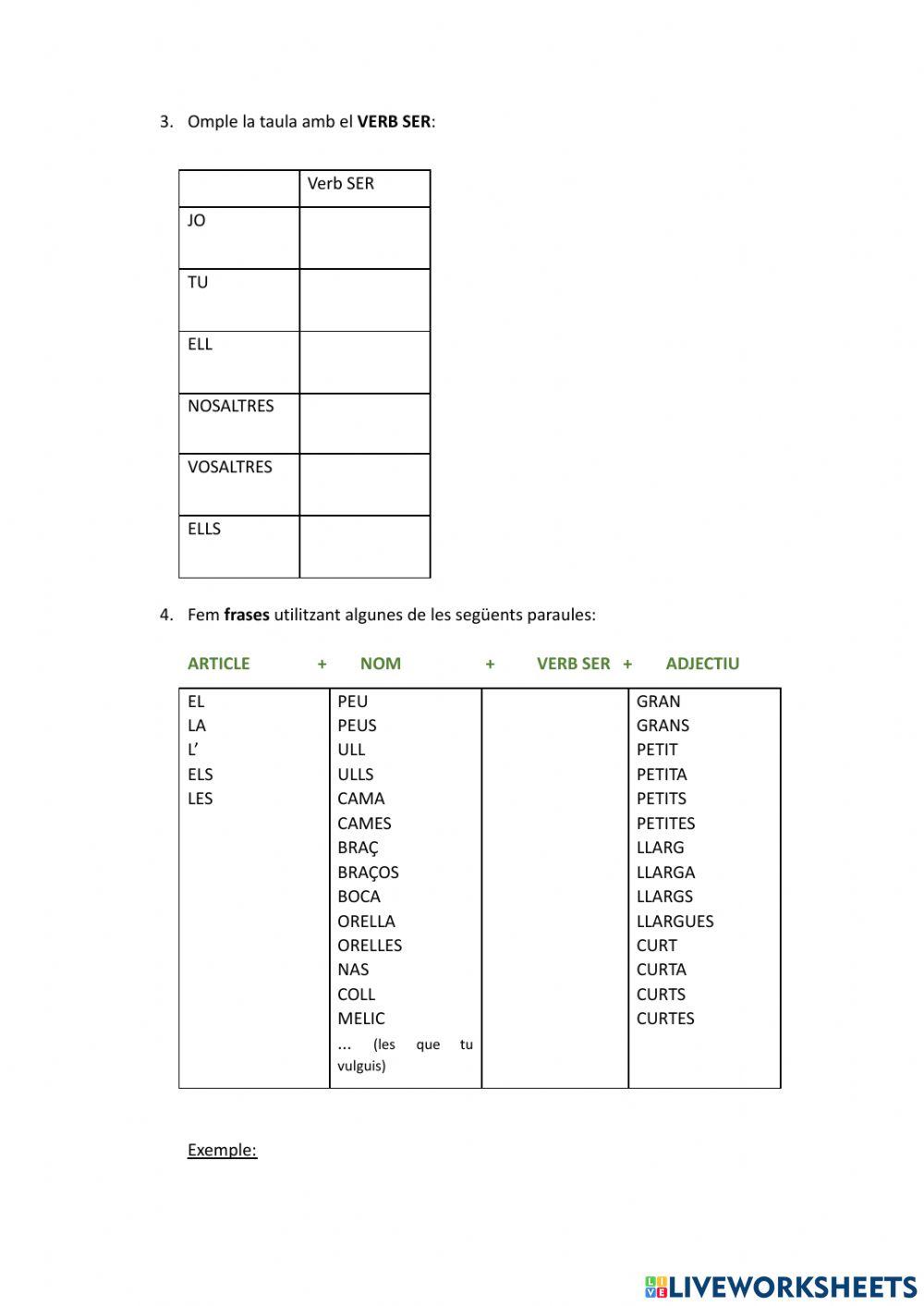 Aula acollida-El Cos i els articles