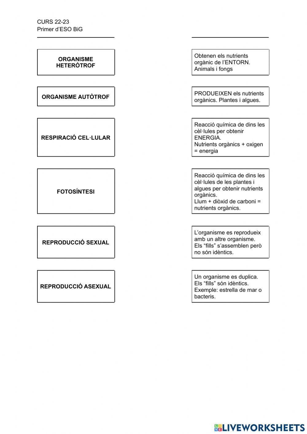 Definicions dels éssers vius