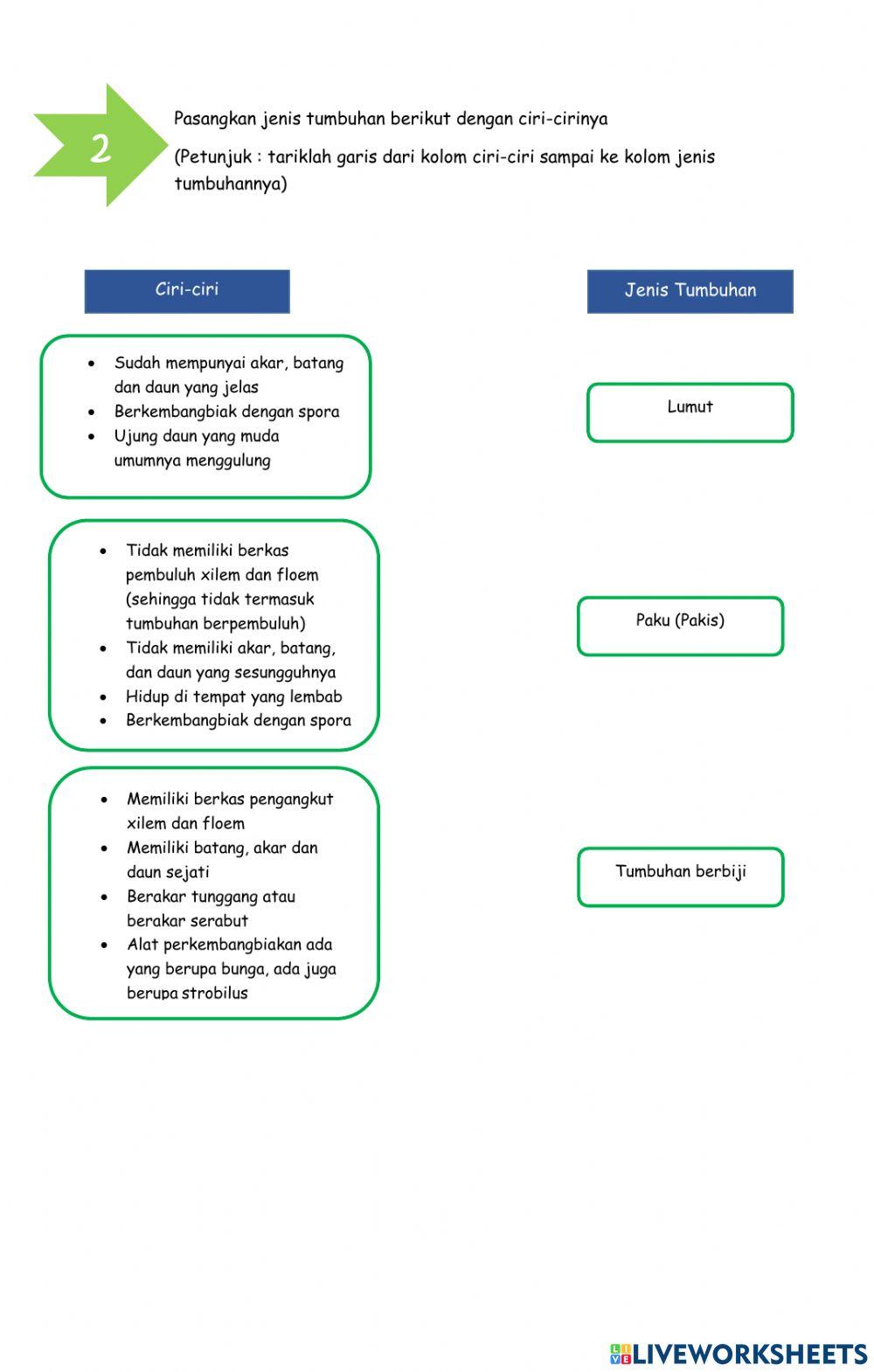 Ulangan Harian Klasifikasi Makhluk Hidup