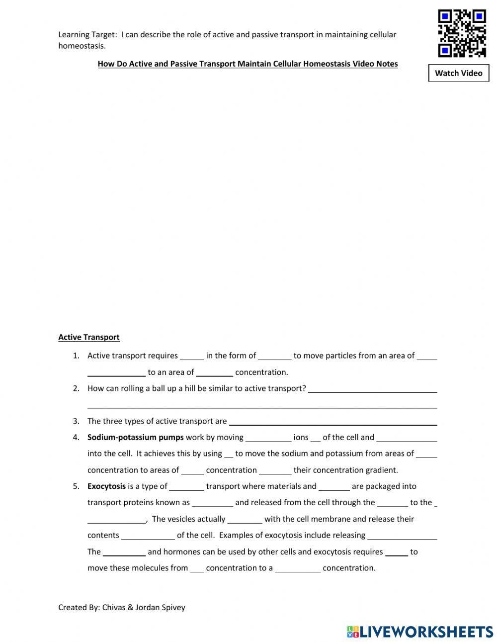 Active vs. Passive Transport Homeostasis video notes