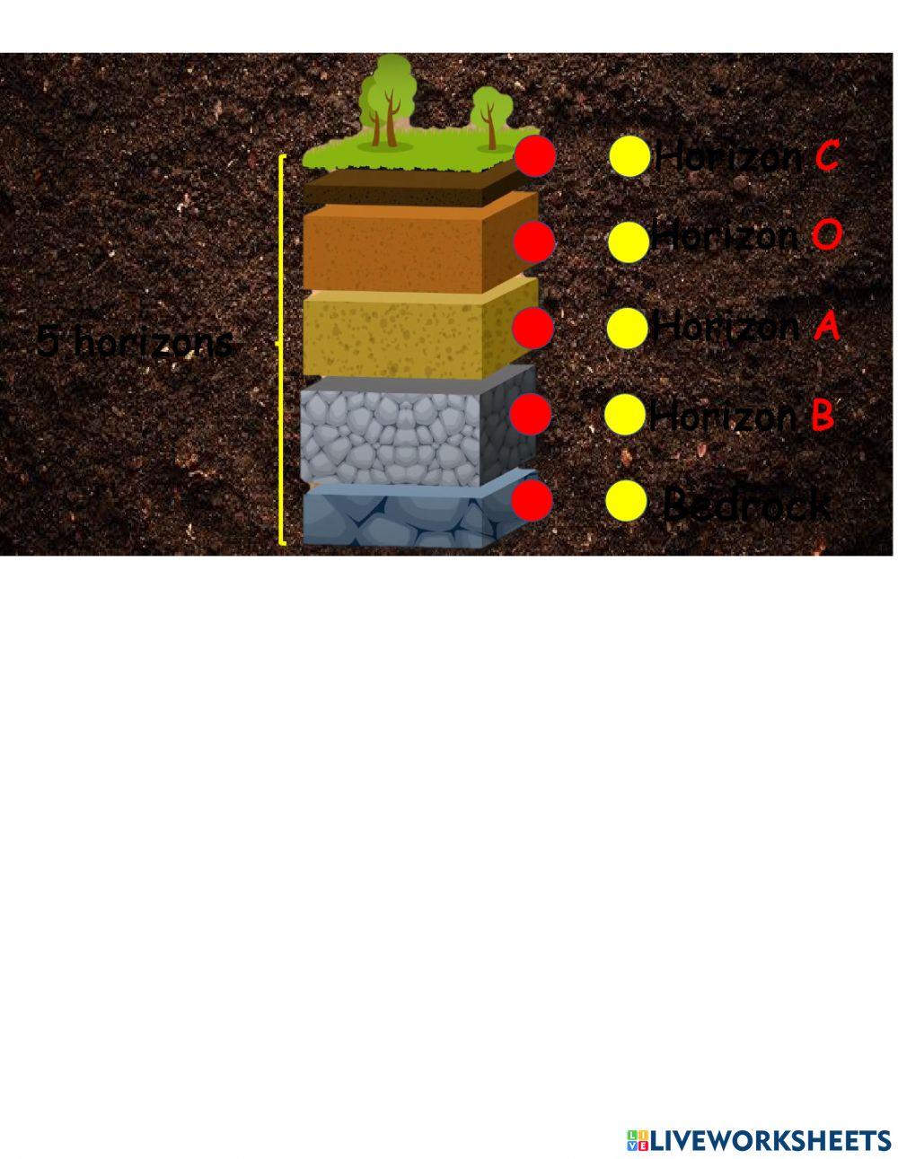 back up science s2 final