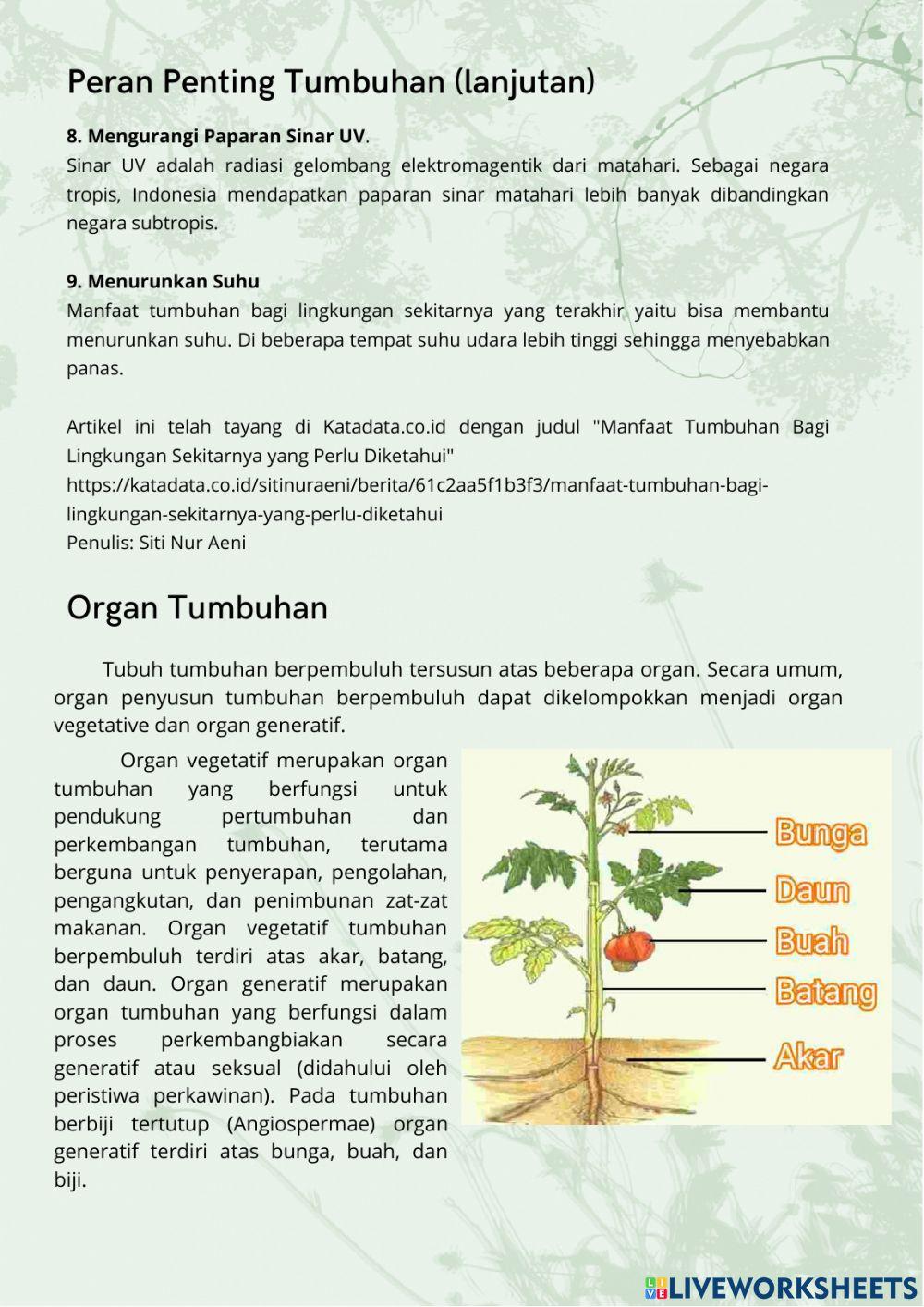 Work book plant part1