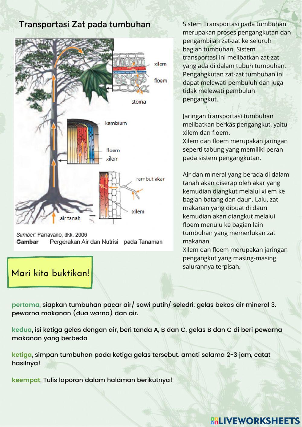 Work book plant part1
