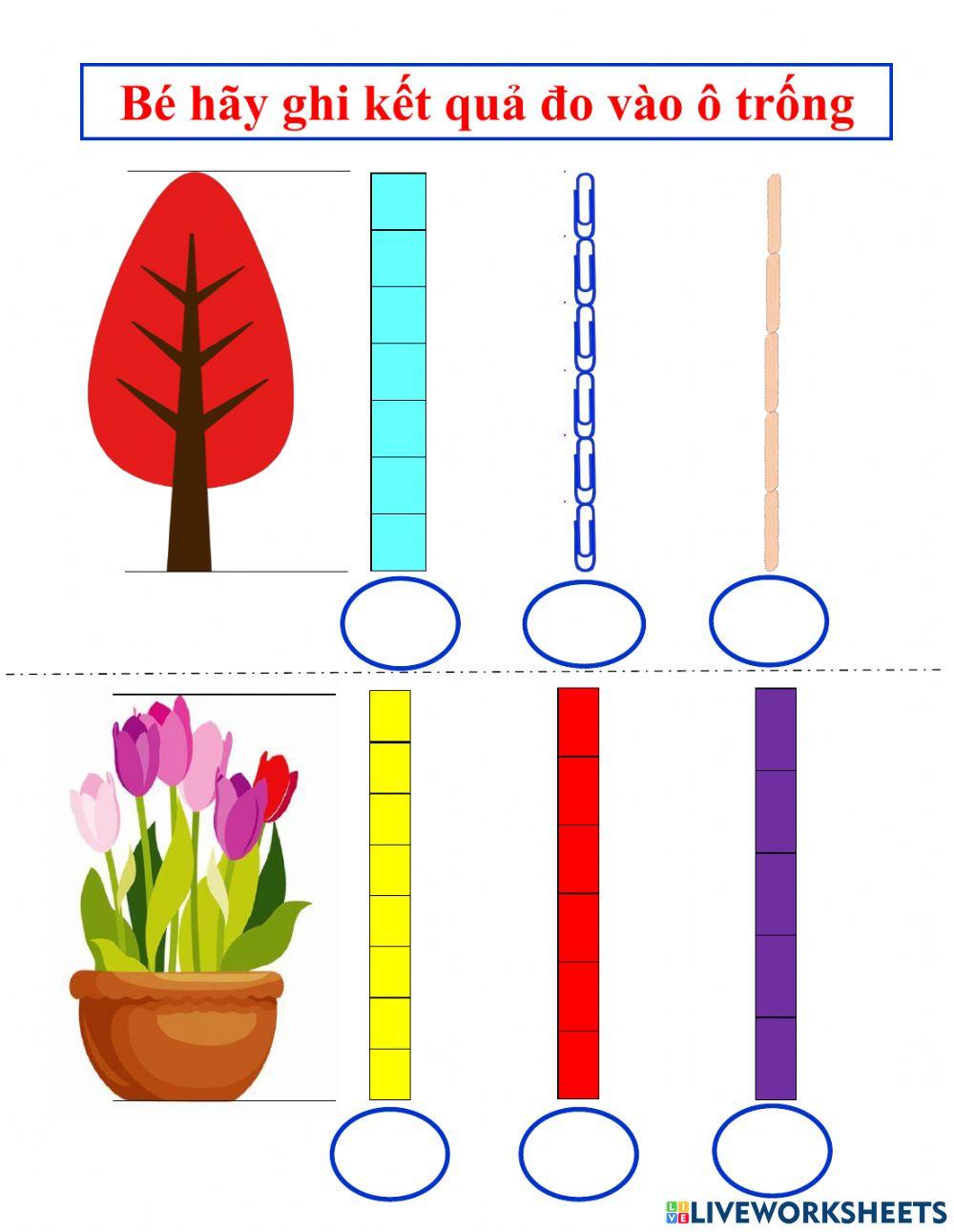 Đo 1 đối tượng
