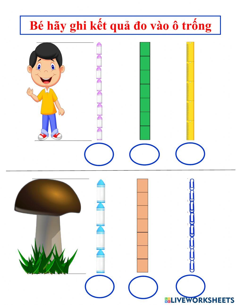 Đo 1 đối tượng