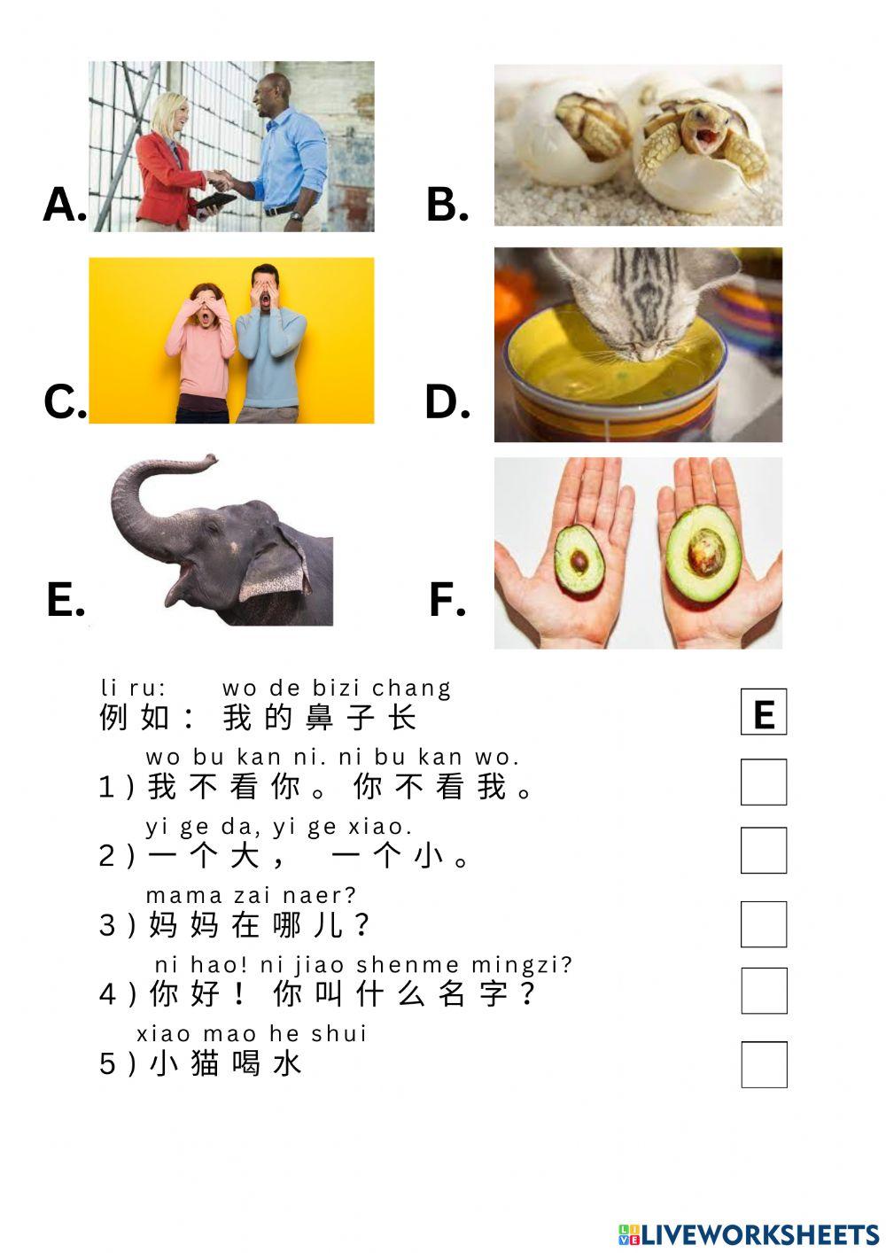 Youth Chinese Test Level 1 sheet 1