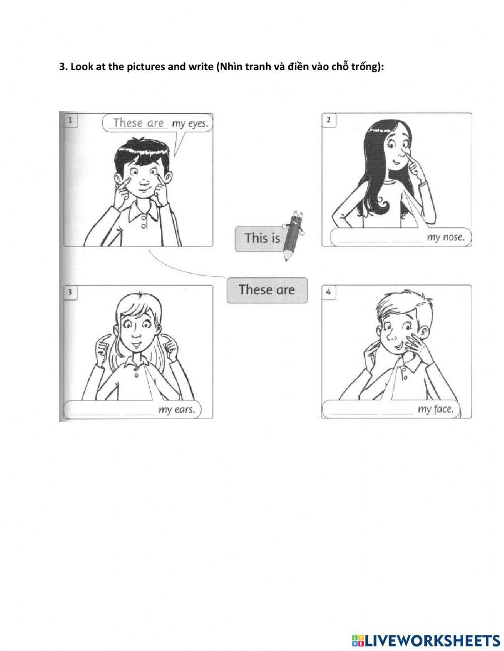 F&F1 - Unit 3 - Lesson 3