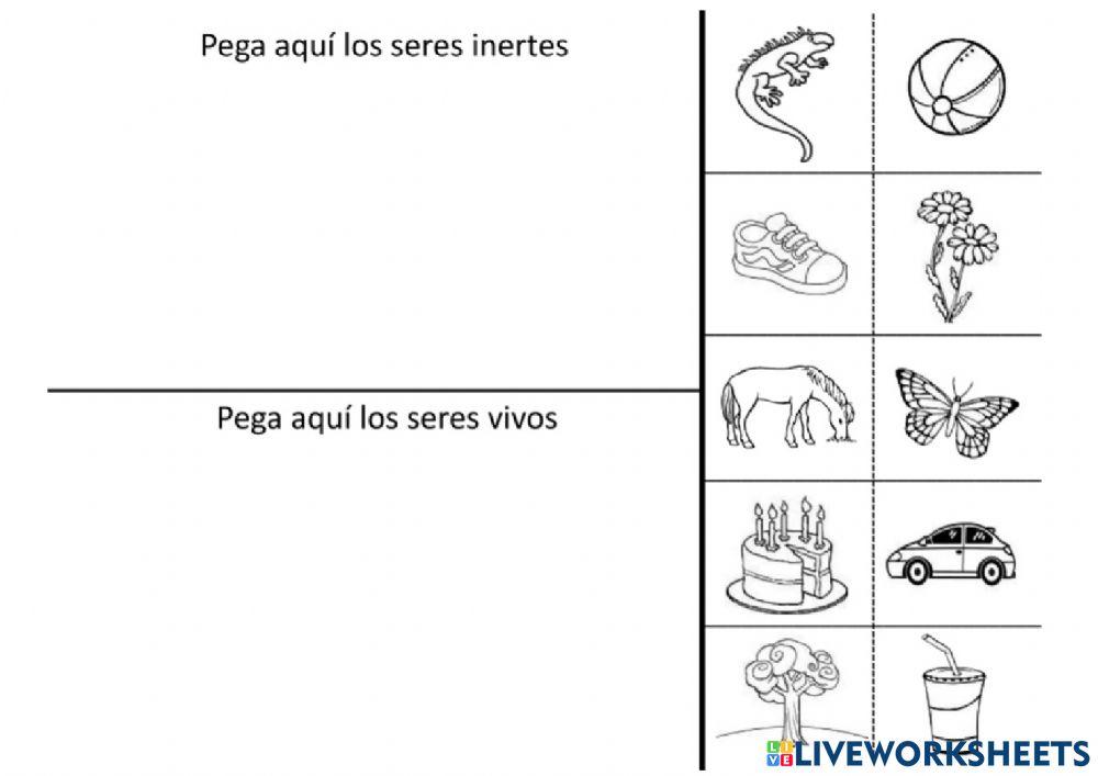 Seres bioticos y abioticos