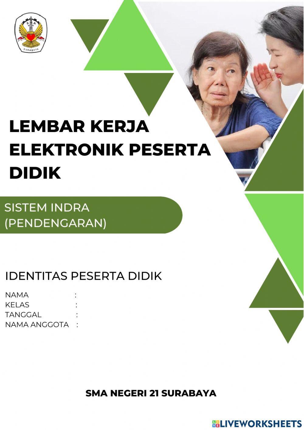 Sistem indra pendengaran