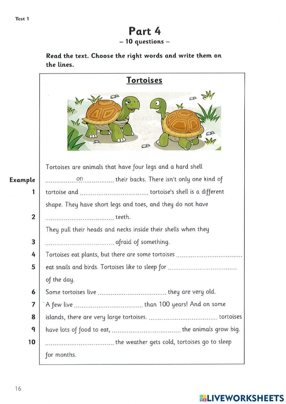 Reading test 1 flyers 4