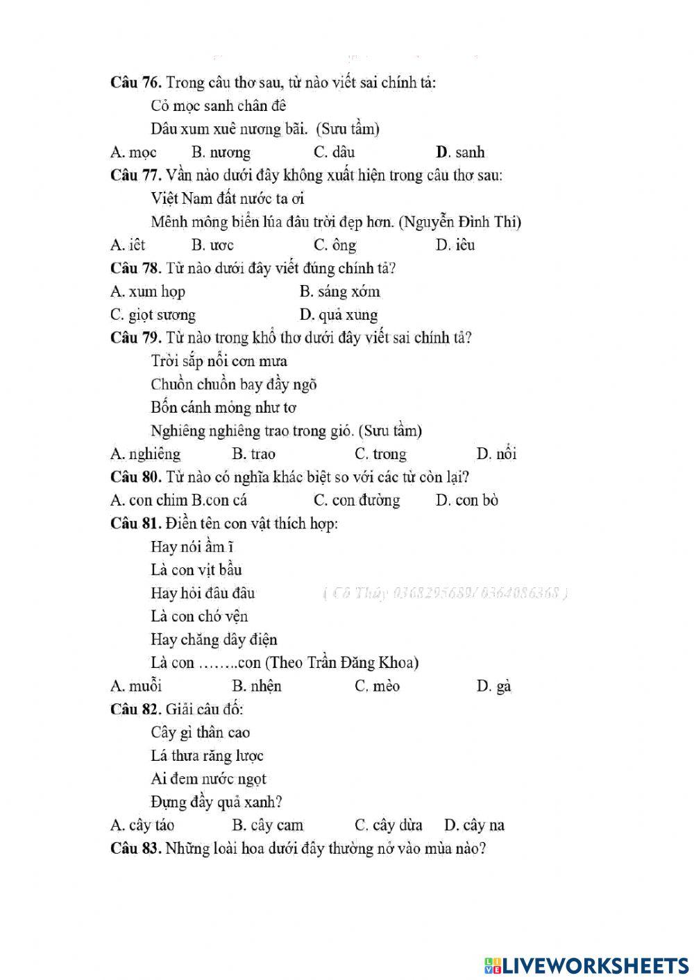 De 3 on TNTV cap tinh