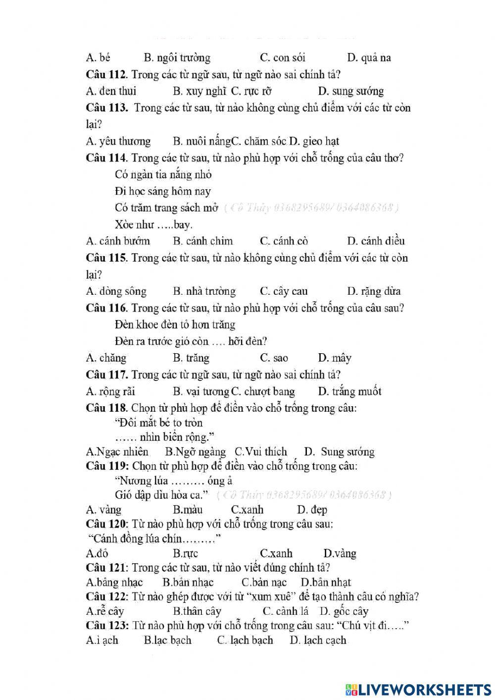 De 3 on TNTV cap tinh