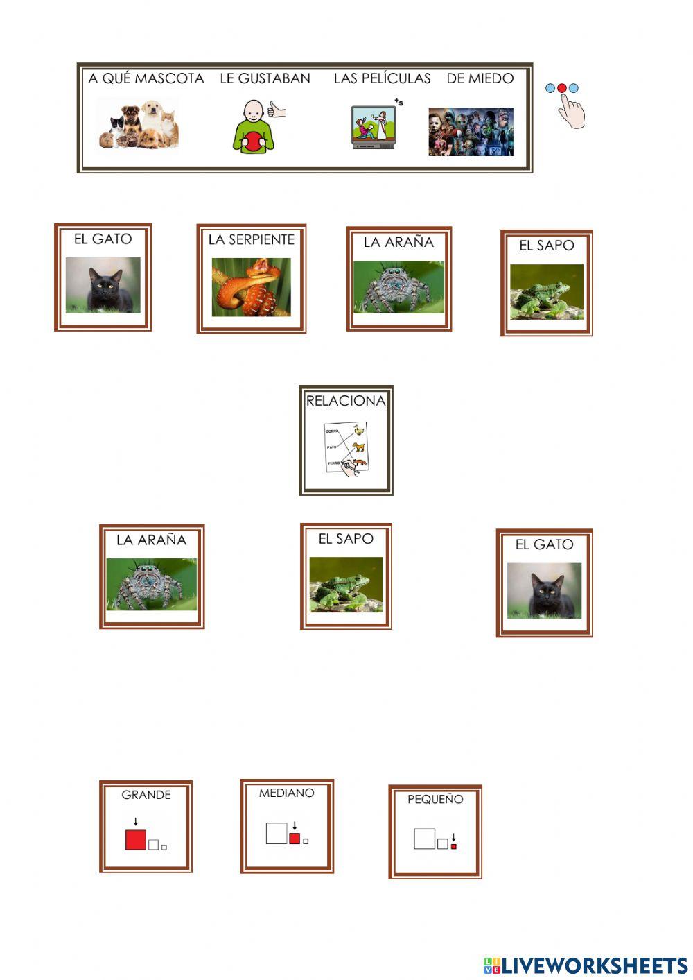 Comprensión 1 la bruja pampurrias