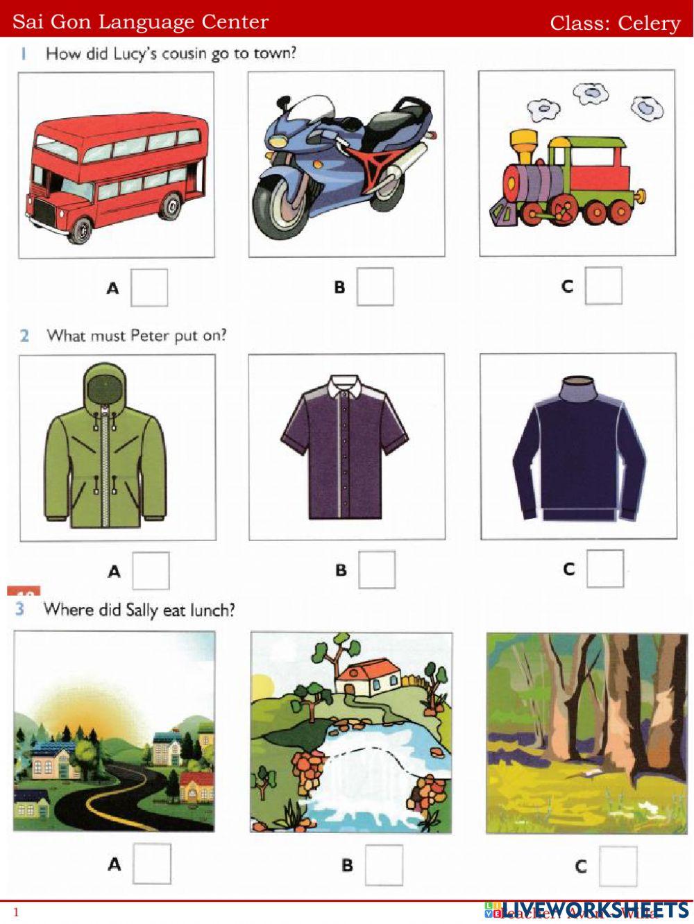 What's the fastest animal in the world?