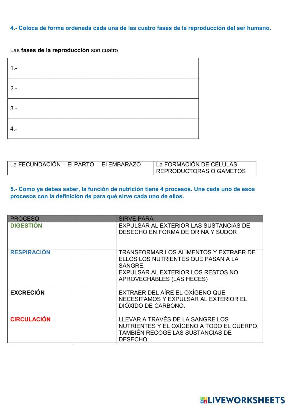 Las funciones vitales del ser humano