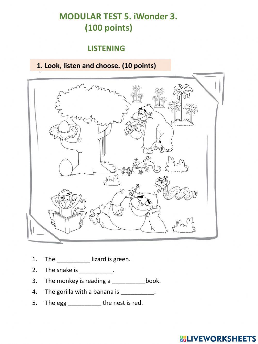 Module test 5(iWonder 3)