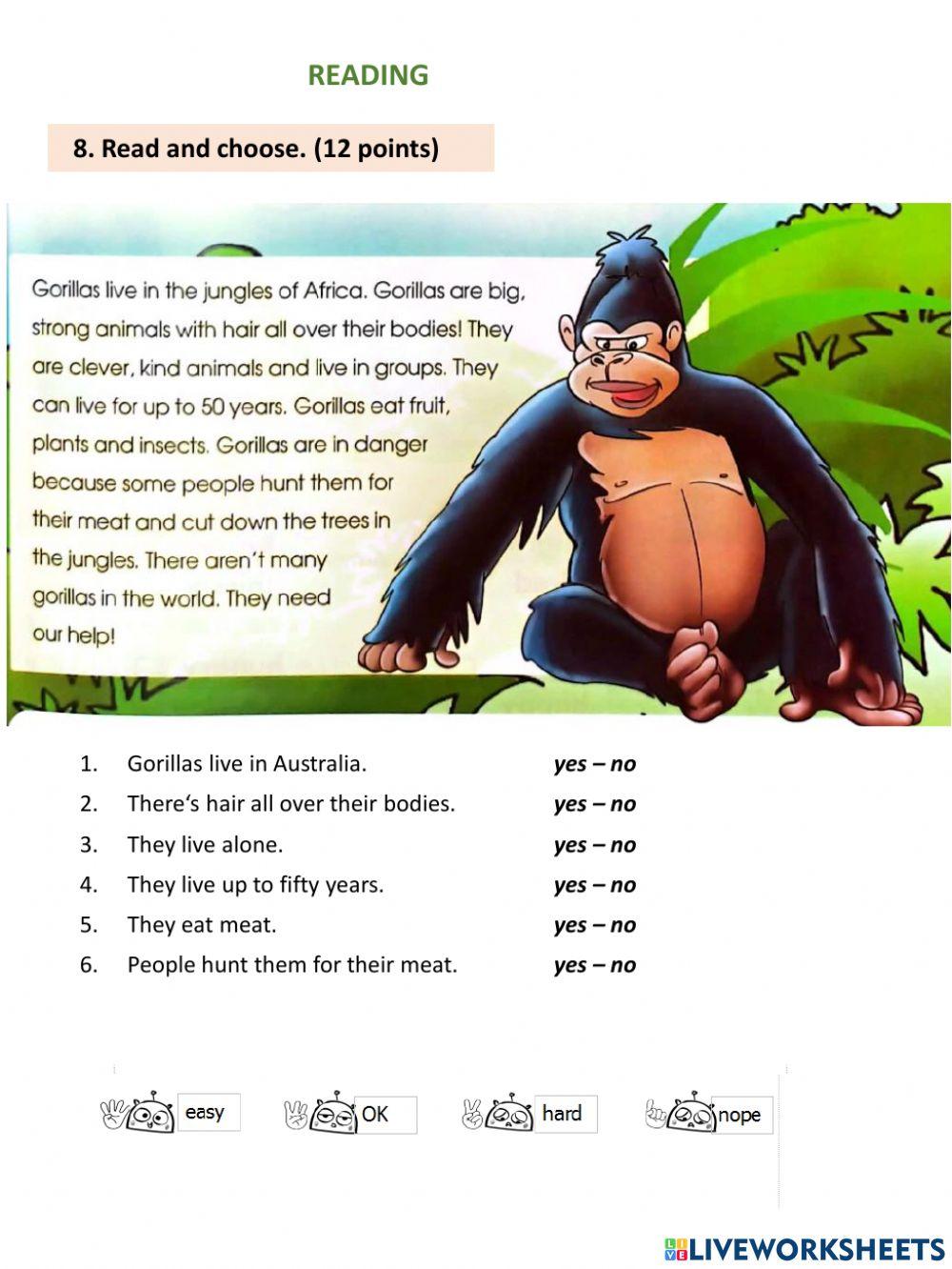 Module test 5(iWonder 3)