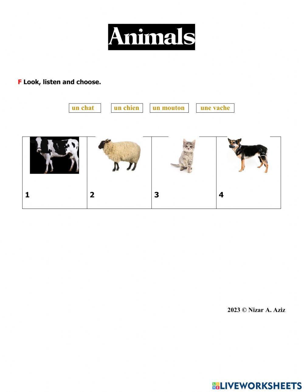 Animals: drop and drop