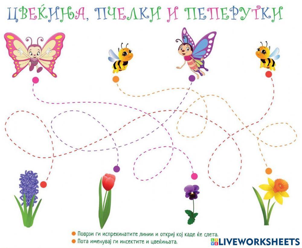 Кој каде ќе слета (Во соработка со Росица)