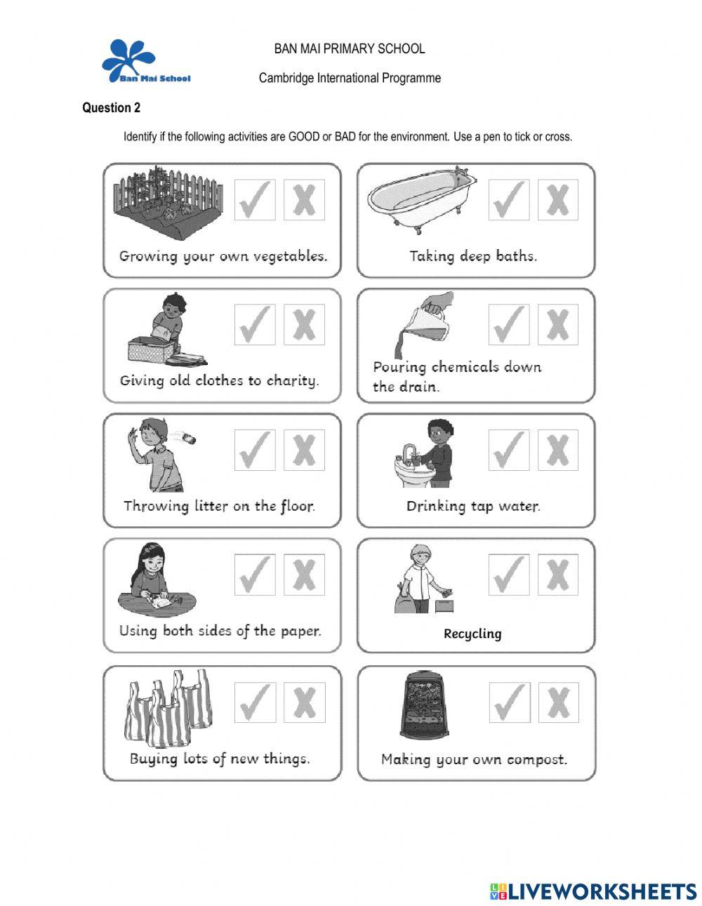 Grade 3 Midterm Revision