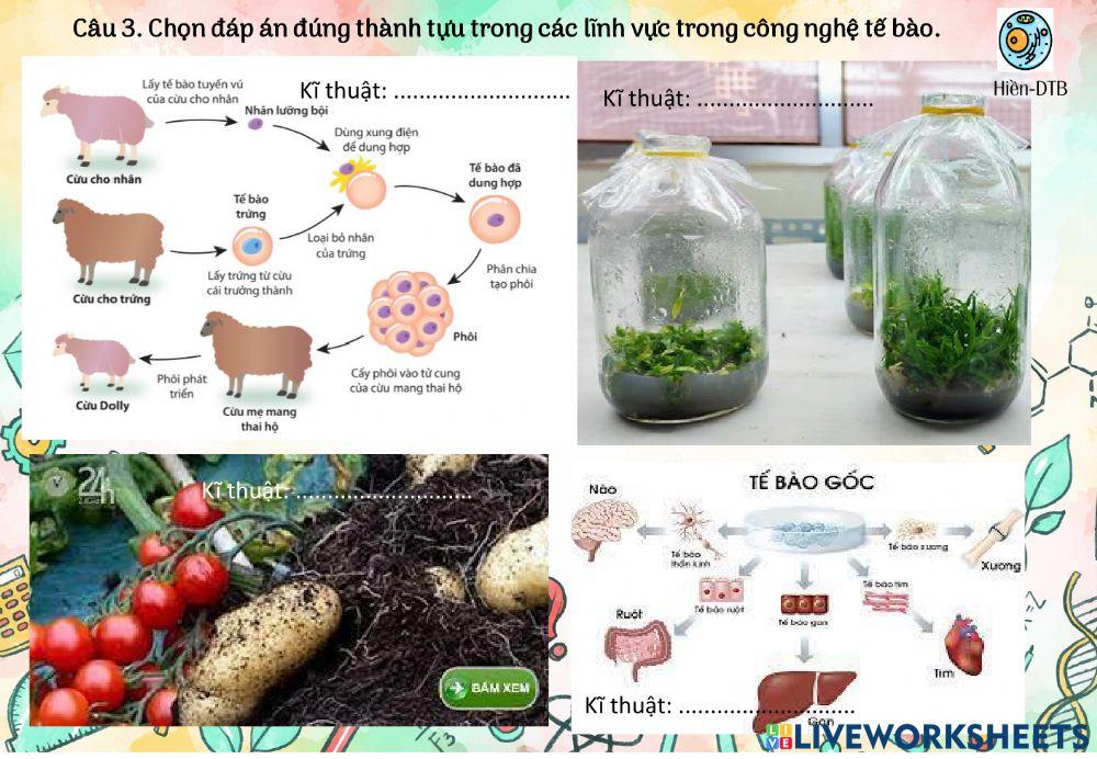 Công nghệ tế bào