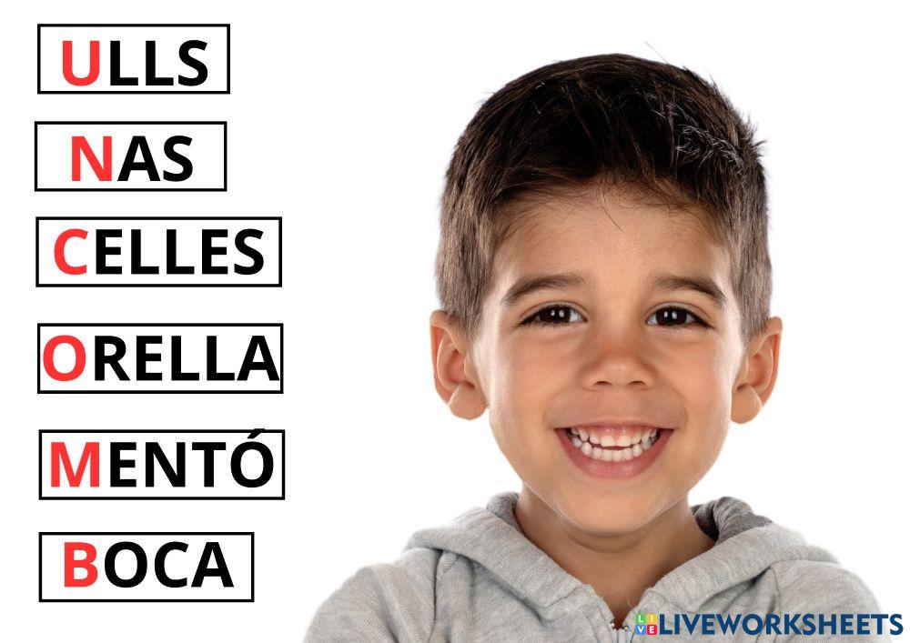 Cara Cara