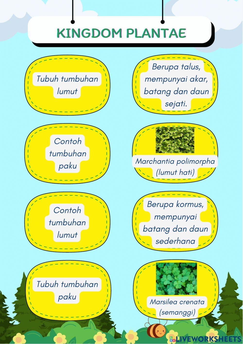 Kingdom Plantae dan Kingdom Animalia