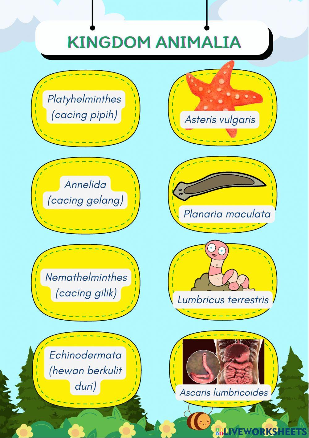 Kingdom Plantae dan Kingdom Animalia