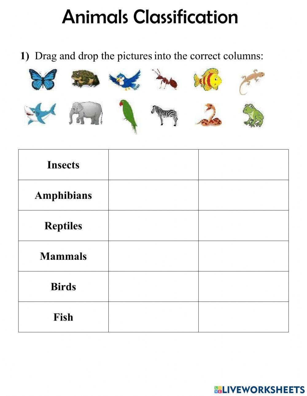 Classification Of Animals Worksheet