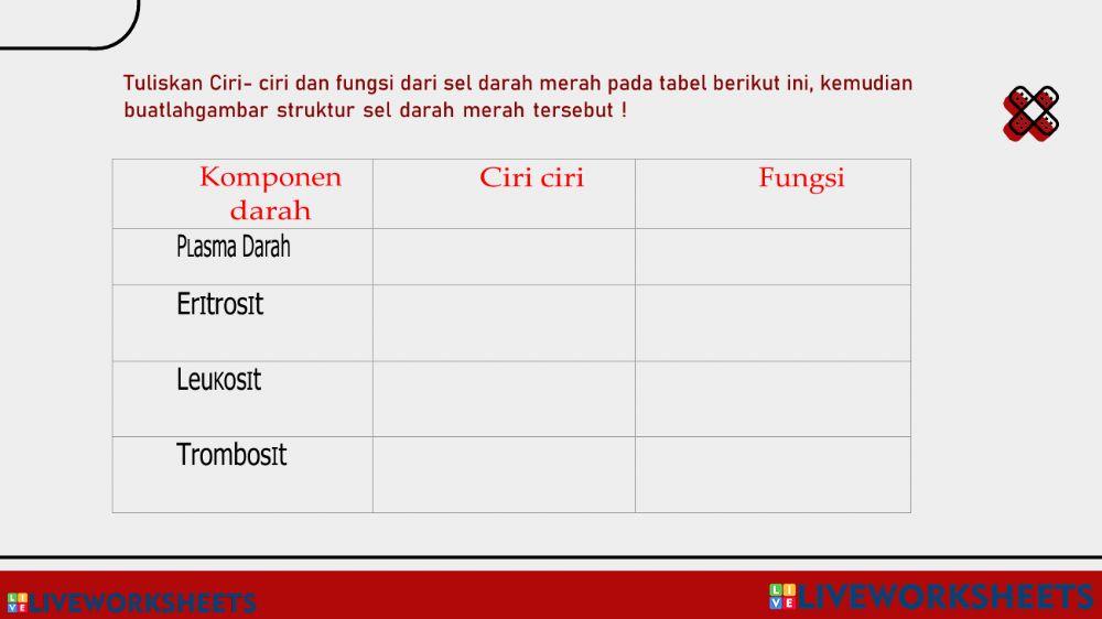 Sistem peredaraan darah