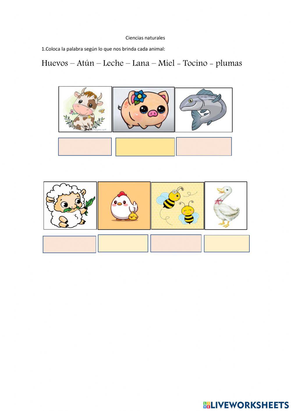 Qué nos aportan los animales