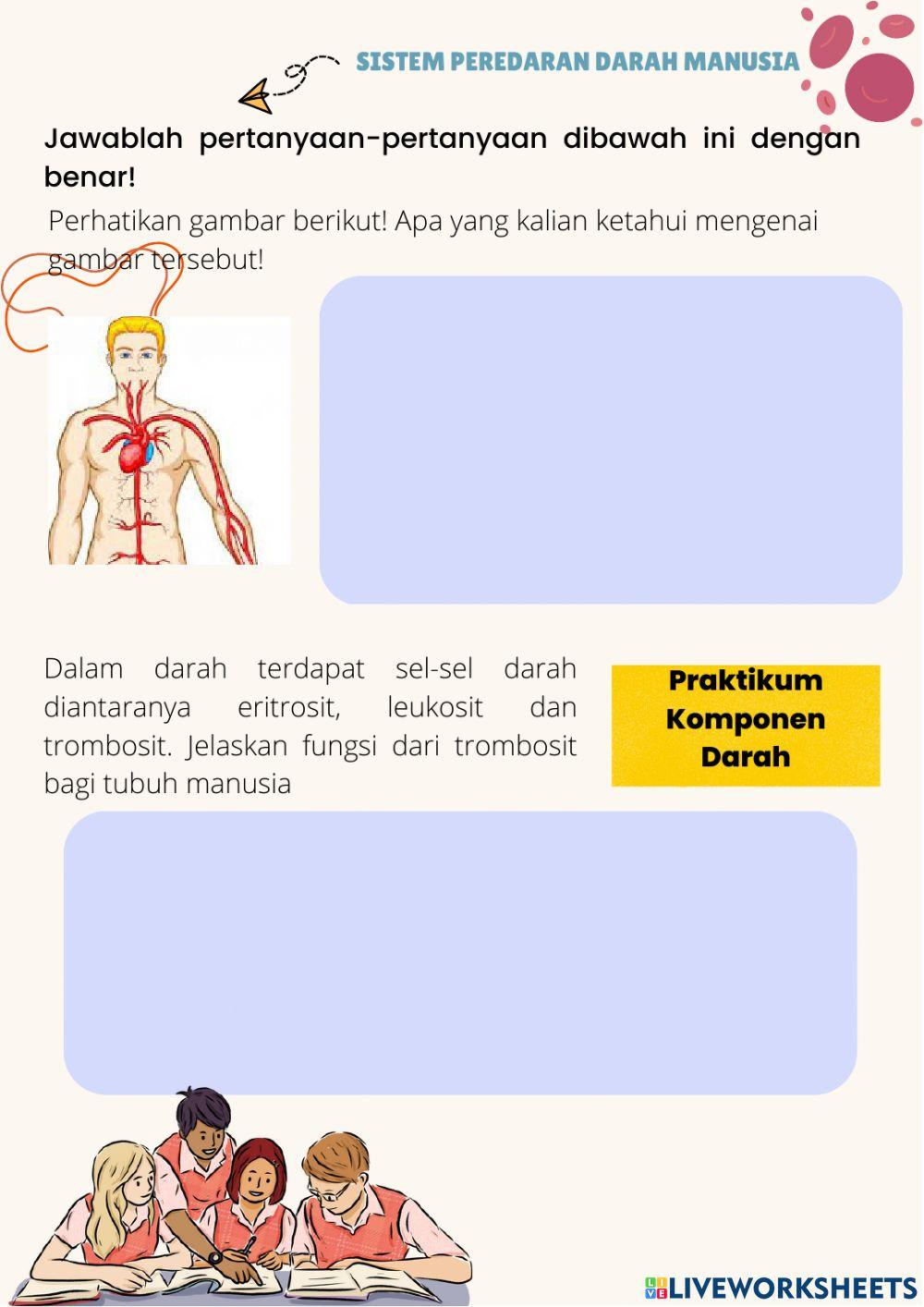 LKPD Sistem peredaran darah