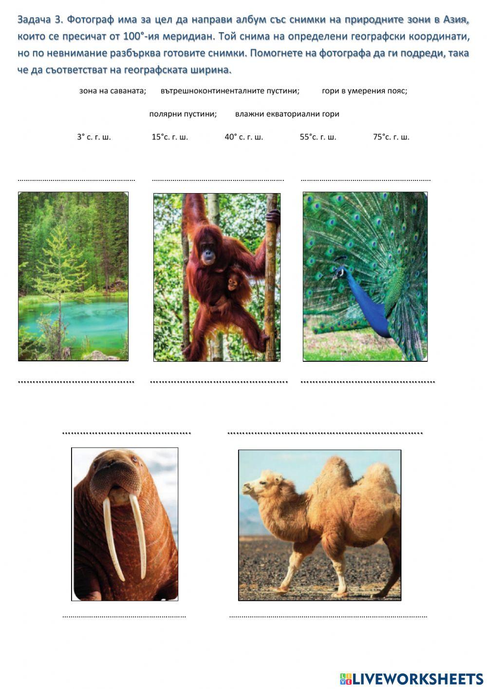 Азия (обобщение)