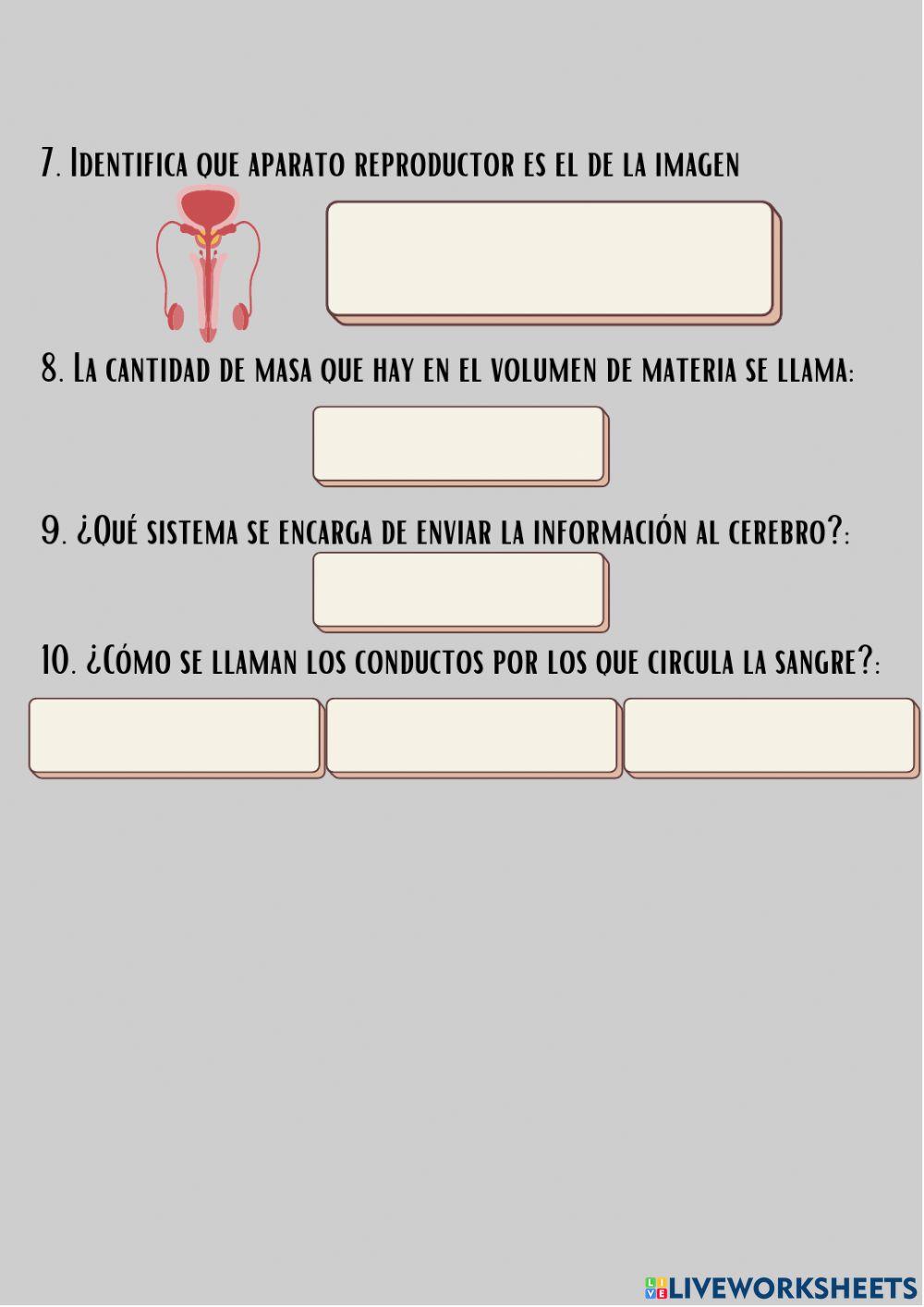 Examen de recuperación de los temas 2,3 y 4