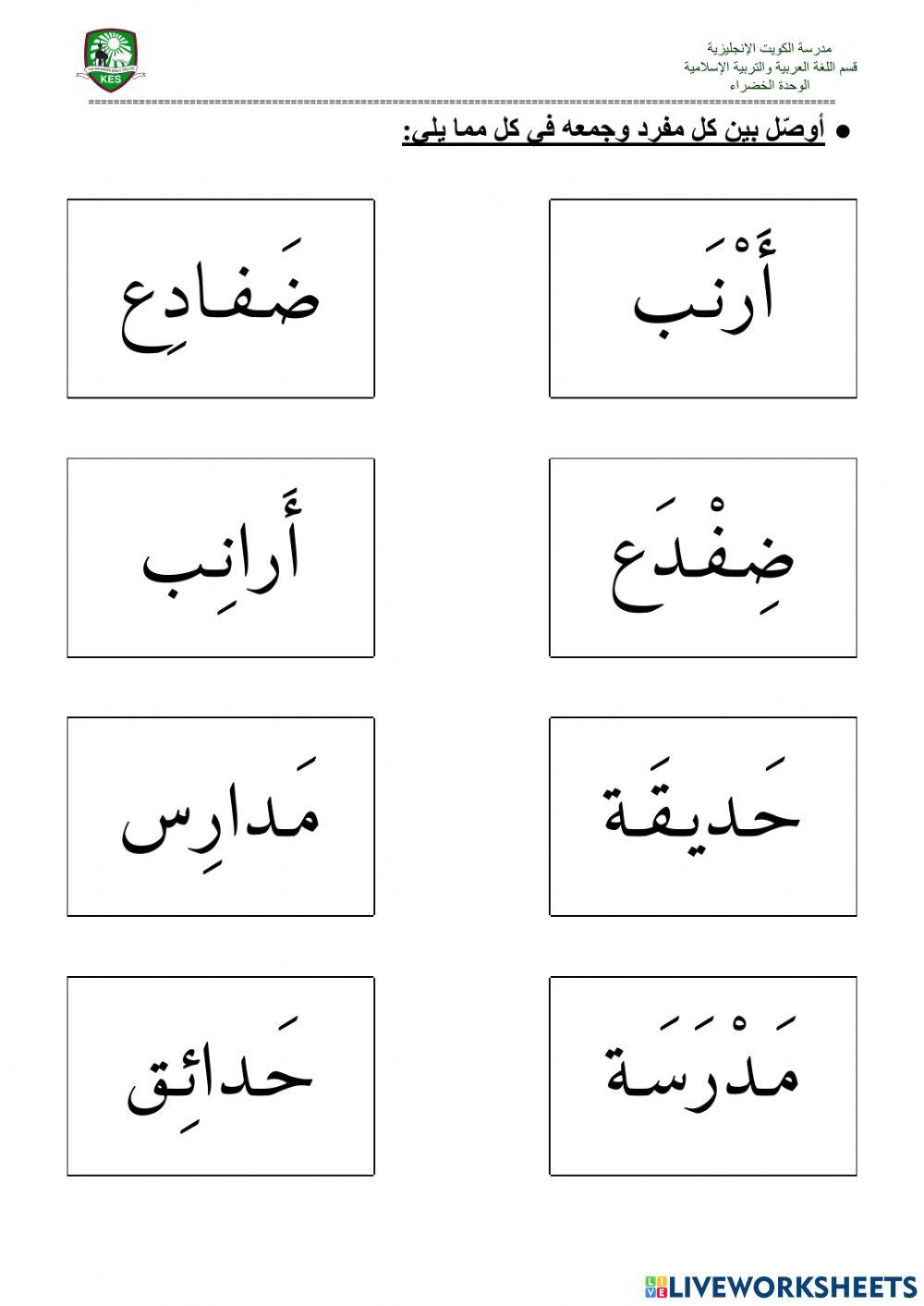 جمع التكسير