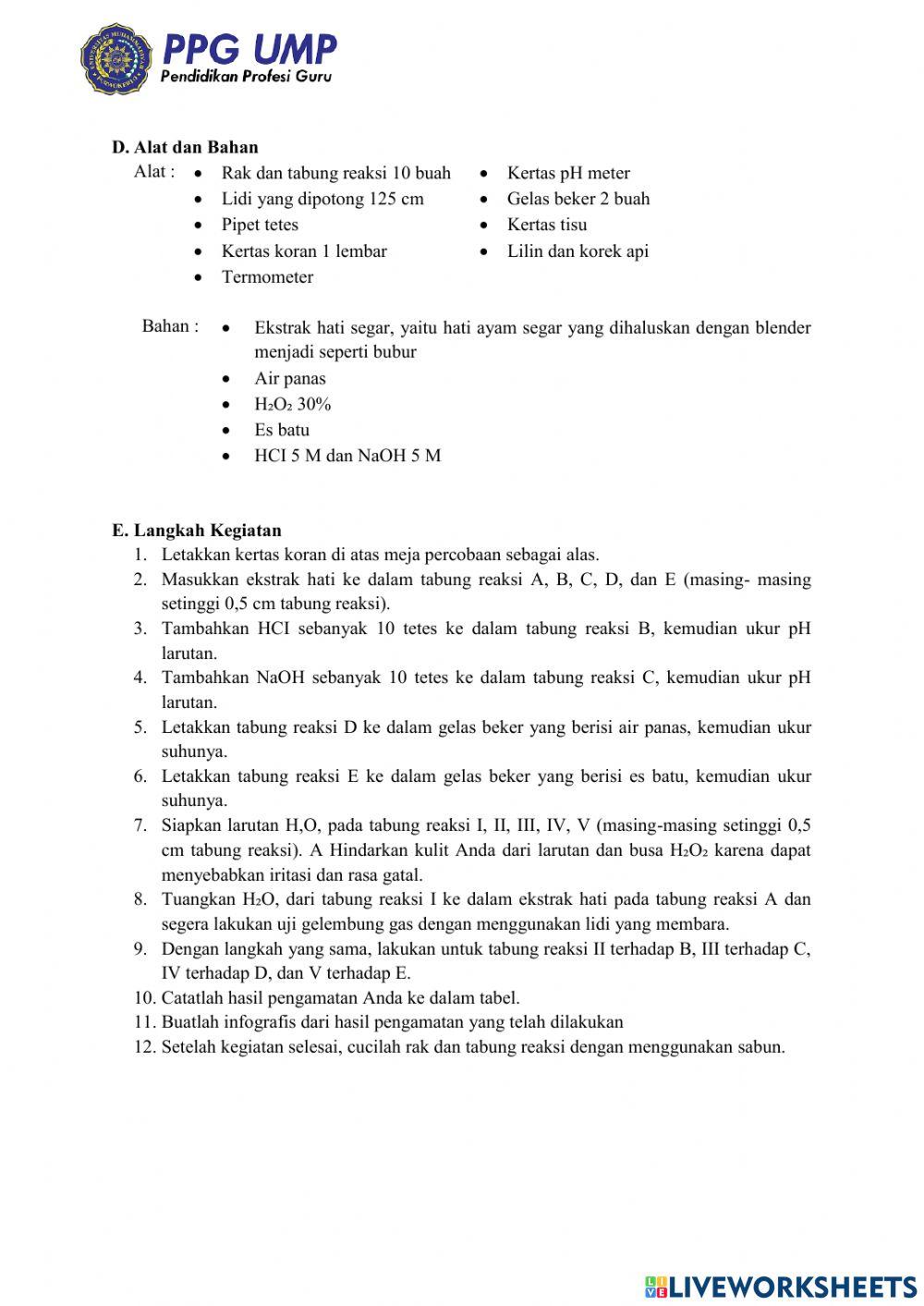 Lkpd enzim dan metabolisme sel