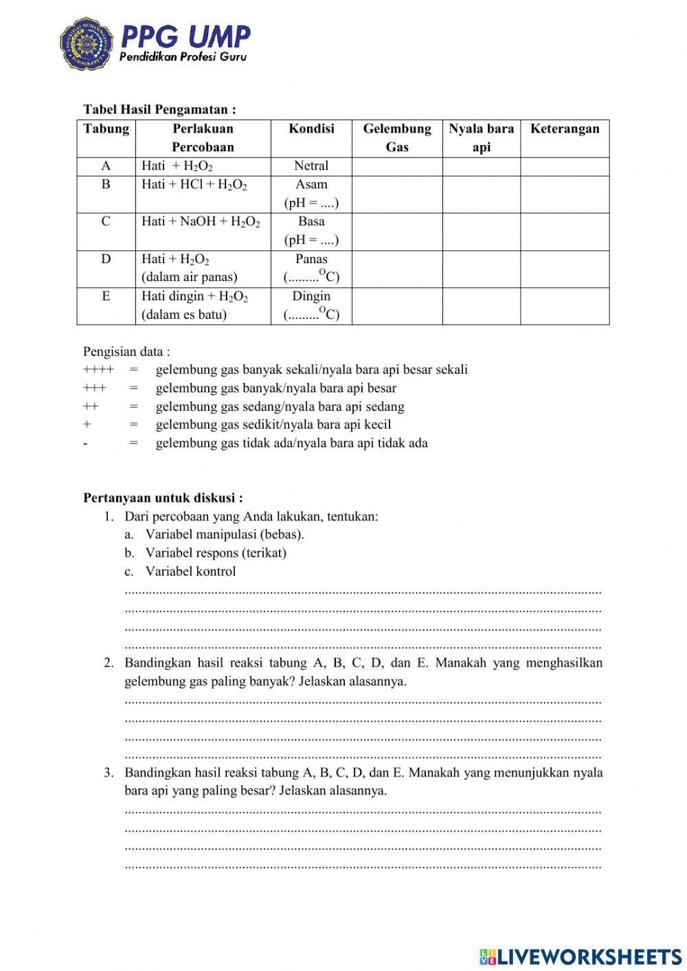 Lkpd enzim dan metabolisme sel