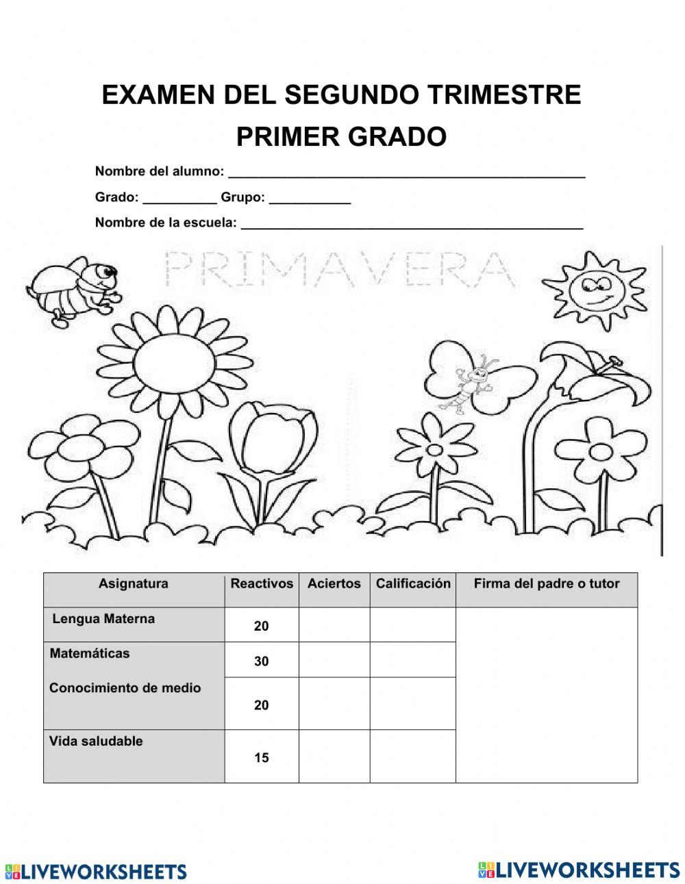 Pruebas superate castellano20203 worksheet