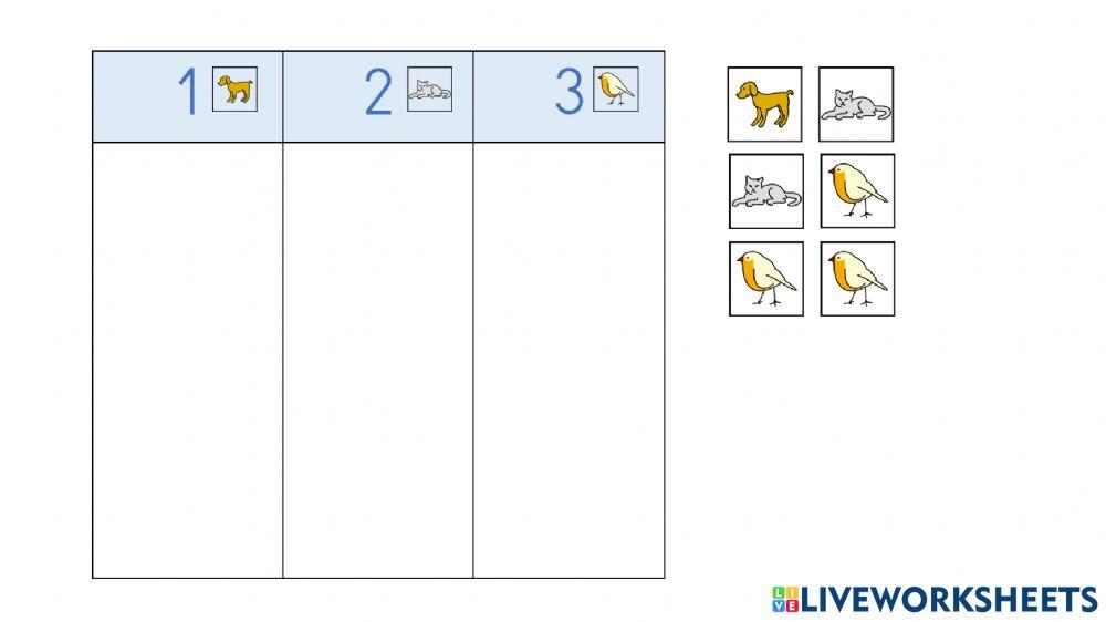 Asociación número cantidad mascotas