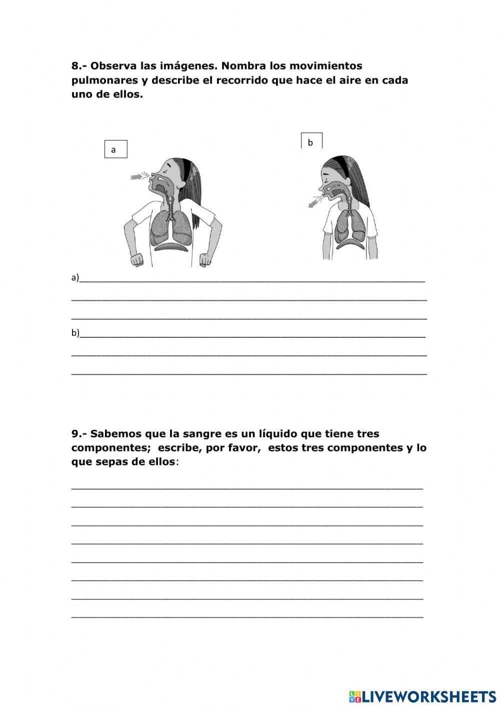 Función de nutrición