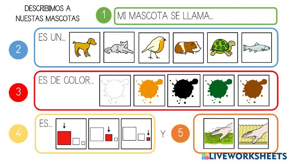 Descripción de mi mascota