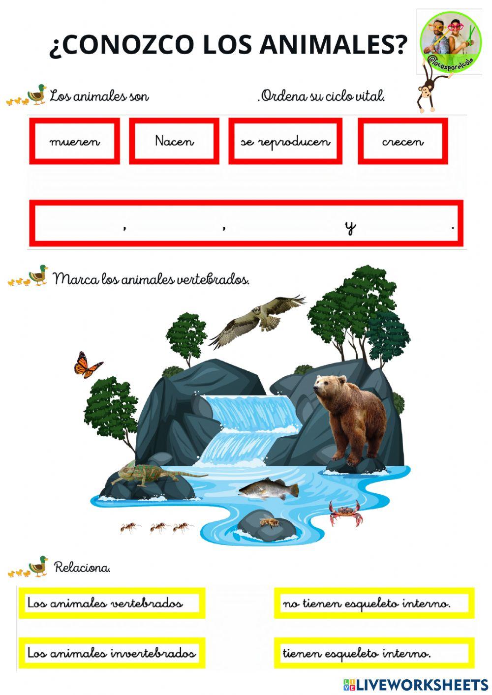 ¿Conozco los animales?