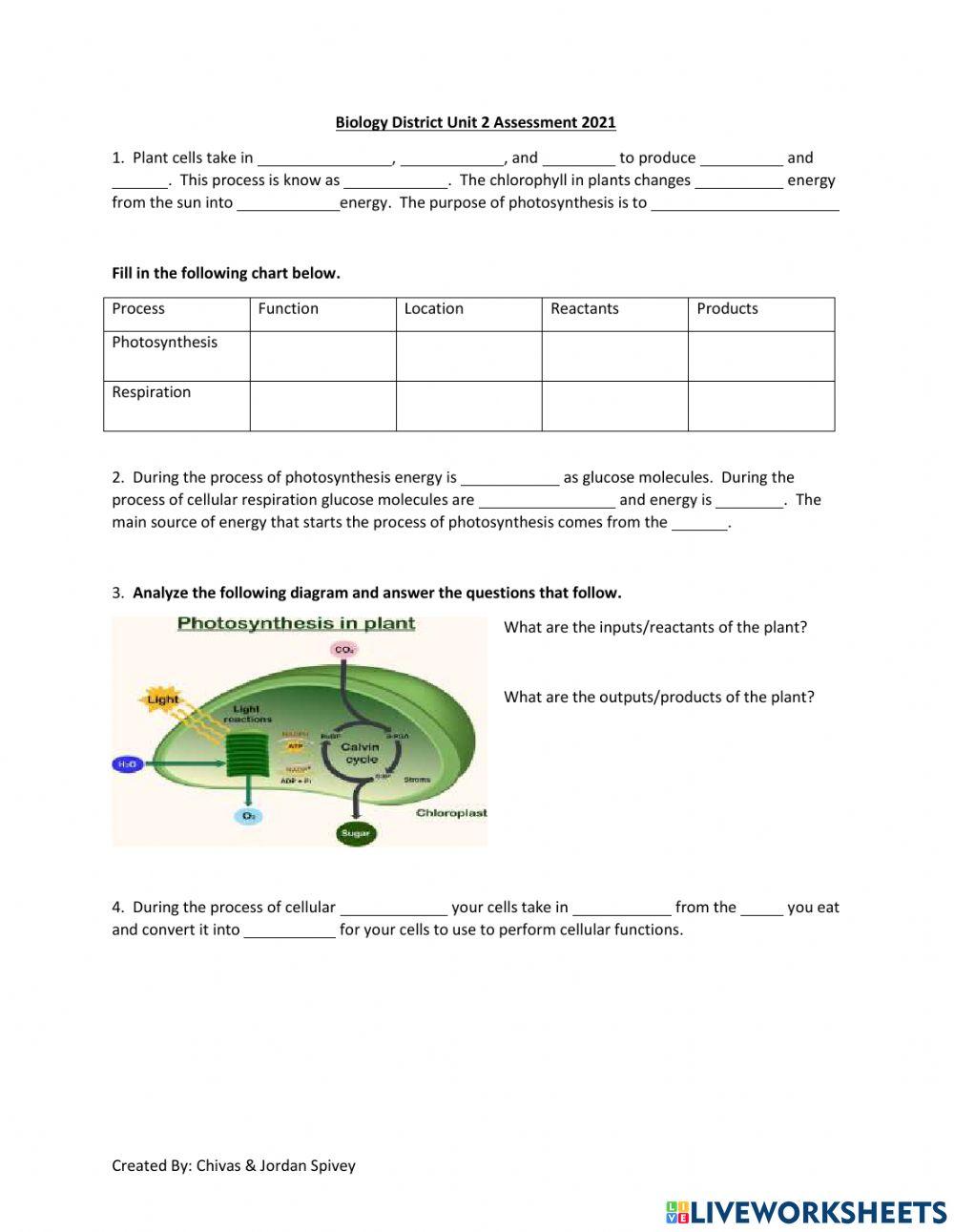Biology District Unit 2 Assessment Prep 2021