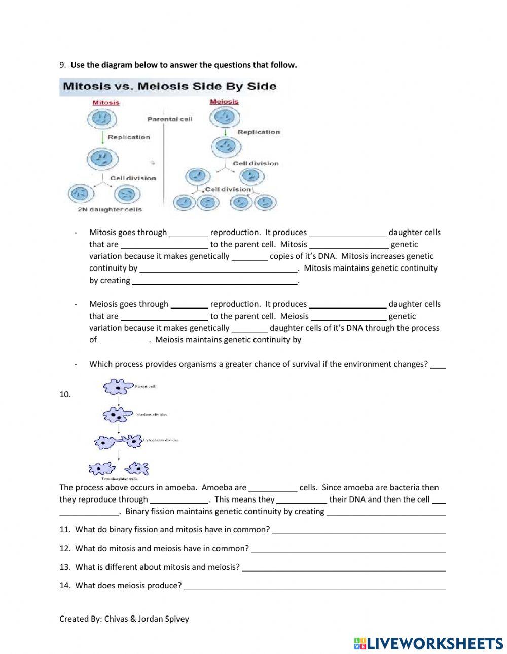 Biology District Unit 2 Assessment Prep 2021