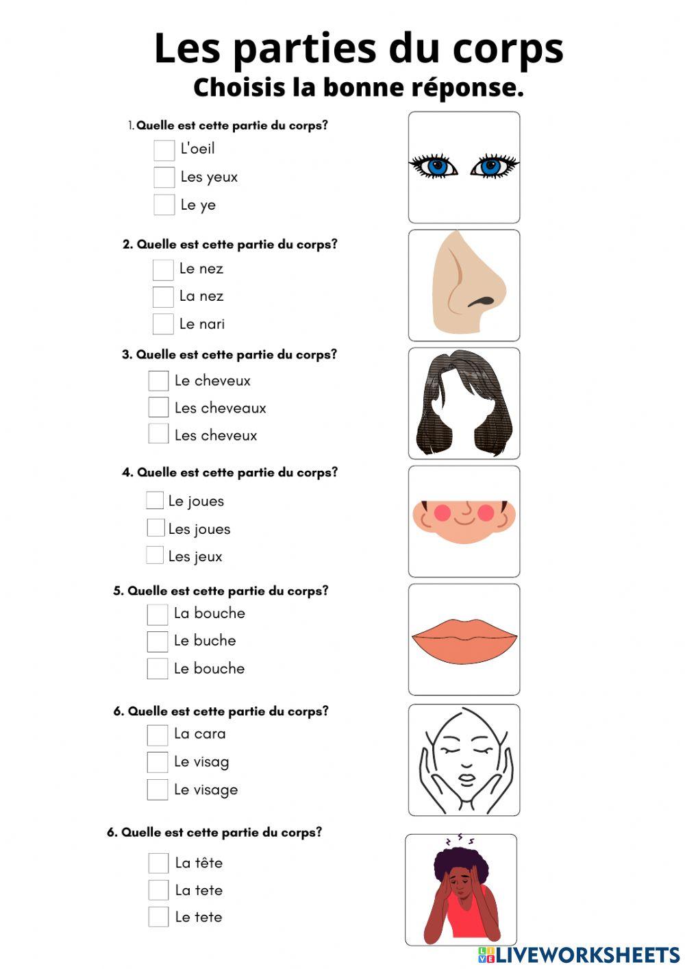 Les parties du corps