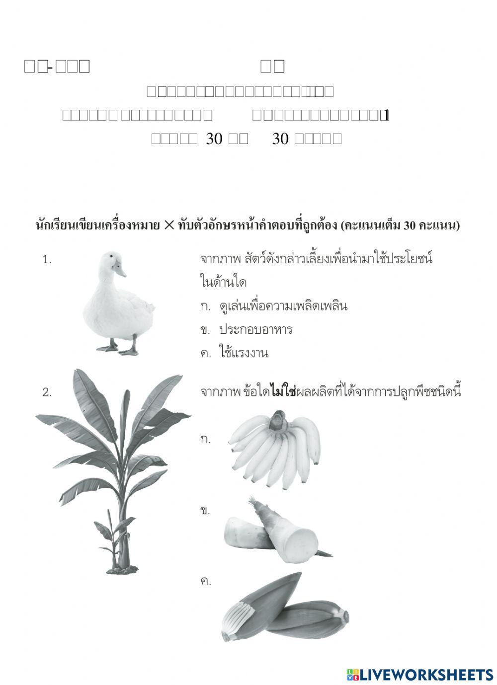 ข้อสอบปลายภาค ป.1