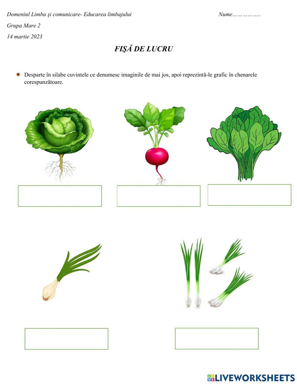 Fisa de lucru- legume timpurii