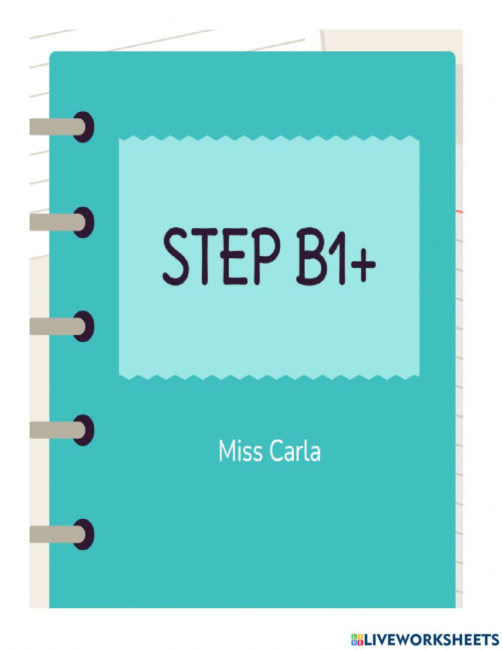 Step b1+ Step b1+