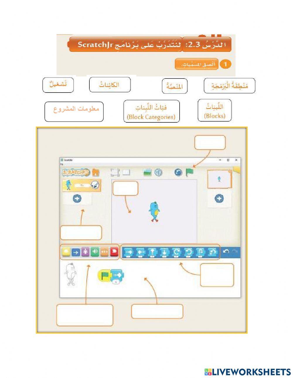 نشاط صف اول